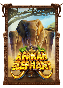 ประสบการณ์ทดลอง joker slot สำหรับมือใหม่